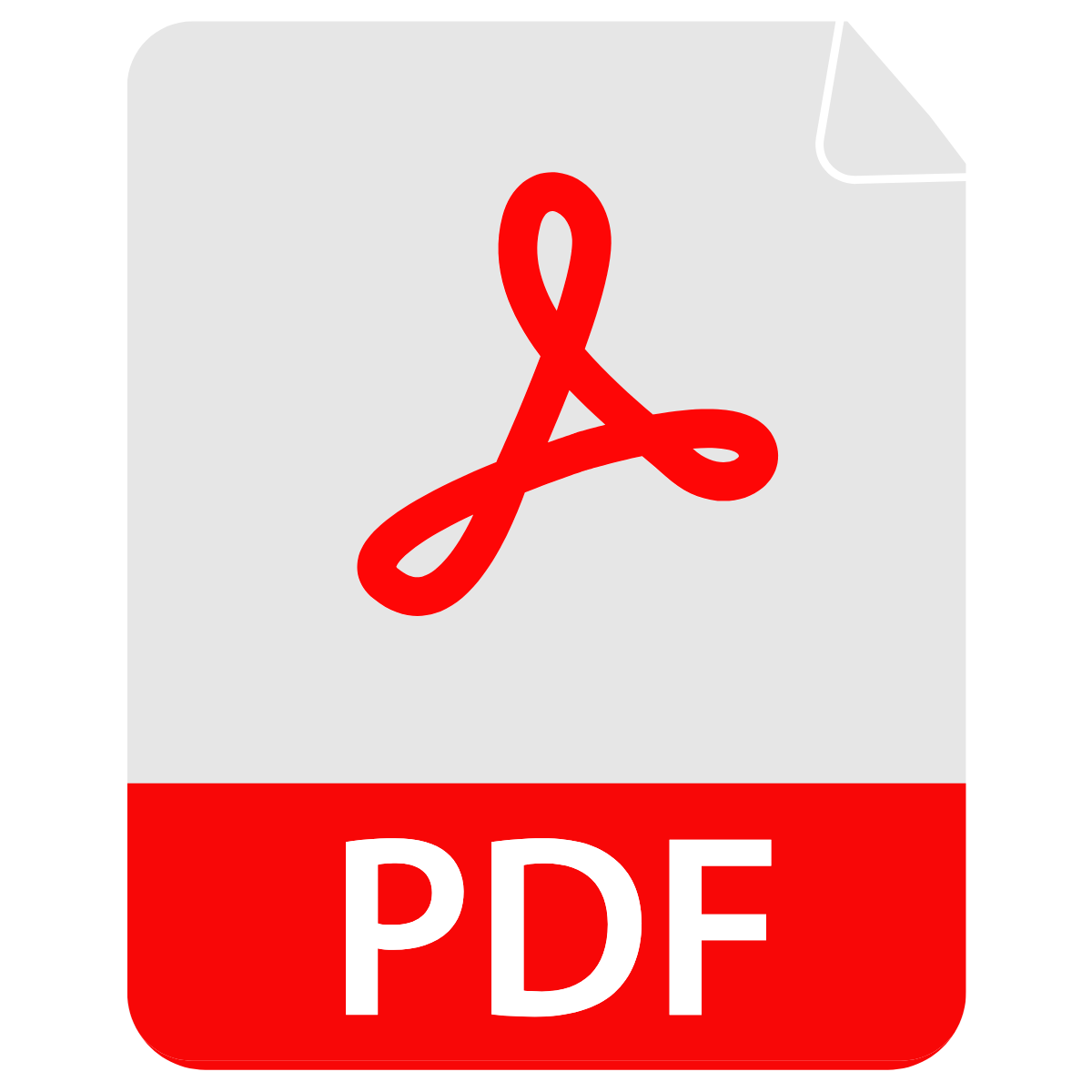 icon pdf